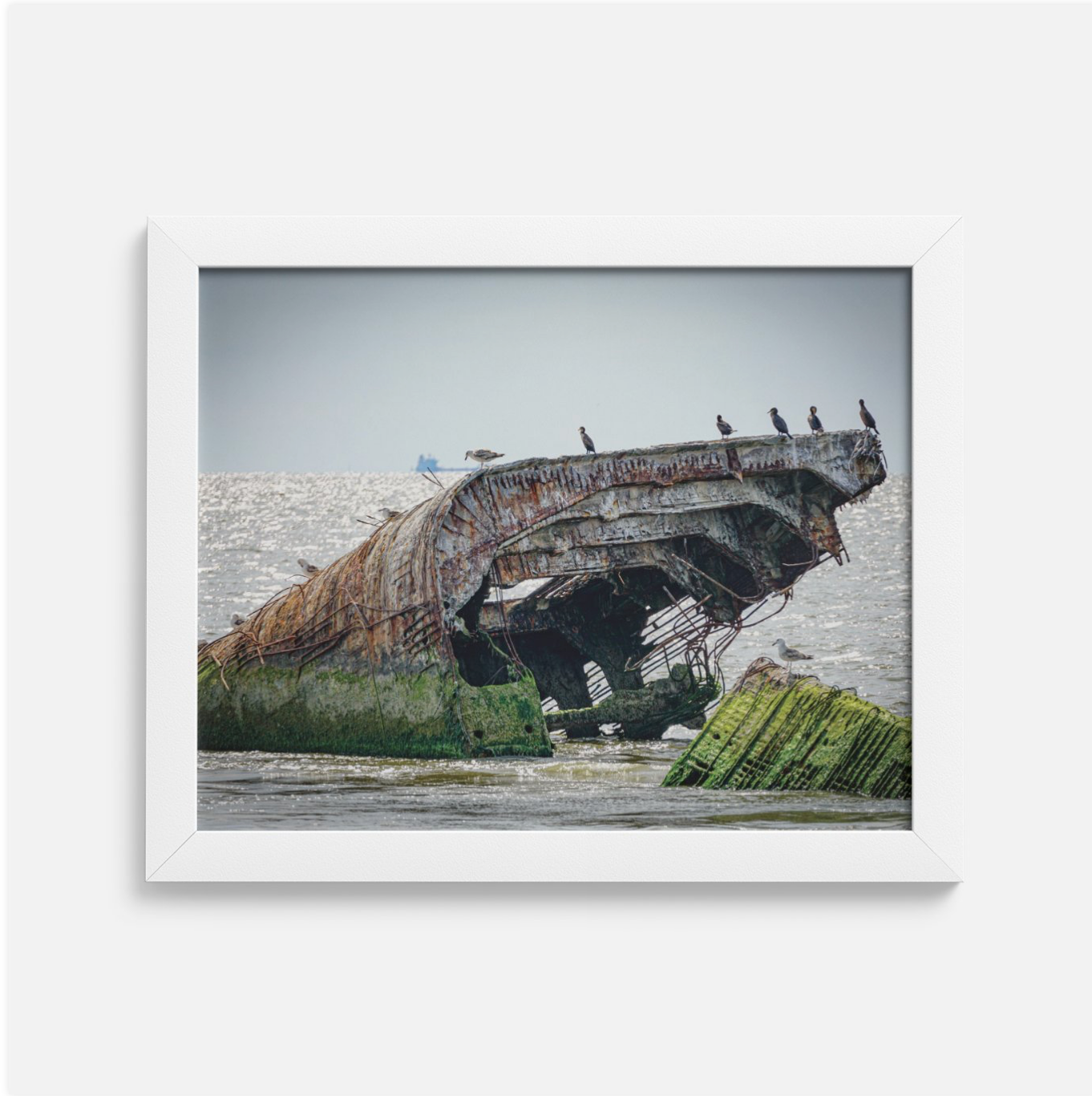 Framed Print of the SS Atlantus in Cape May NJ